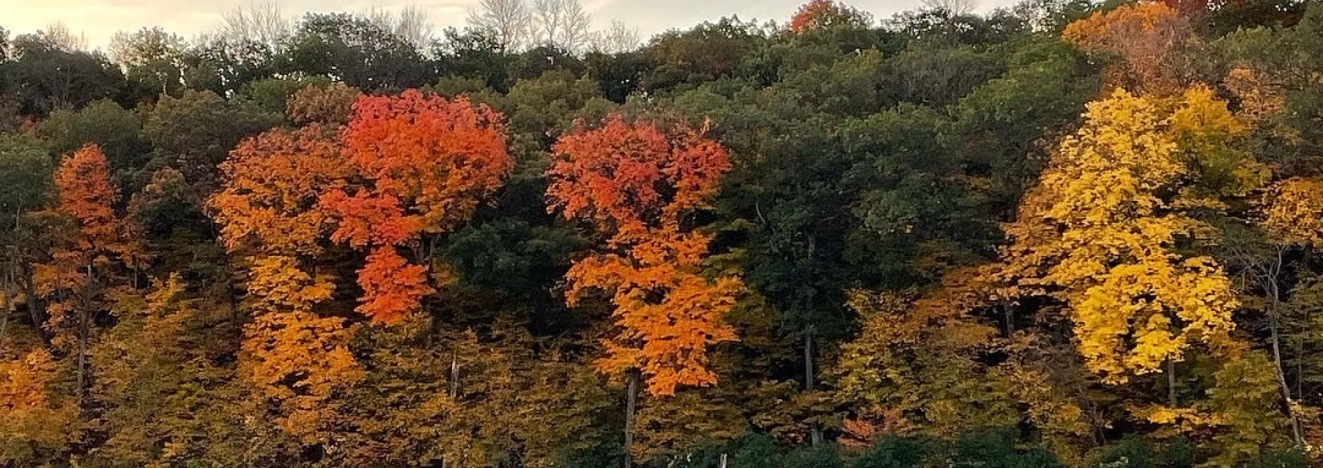 Autumn trees with red, orange, and yellow leaves line the edge of a lake at Chester Woods in Rochester, Minnesota, with a thin mist rising from the water.