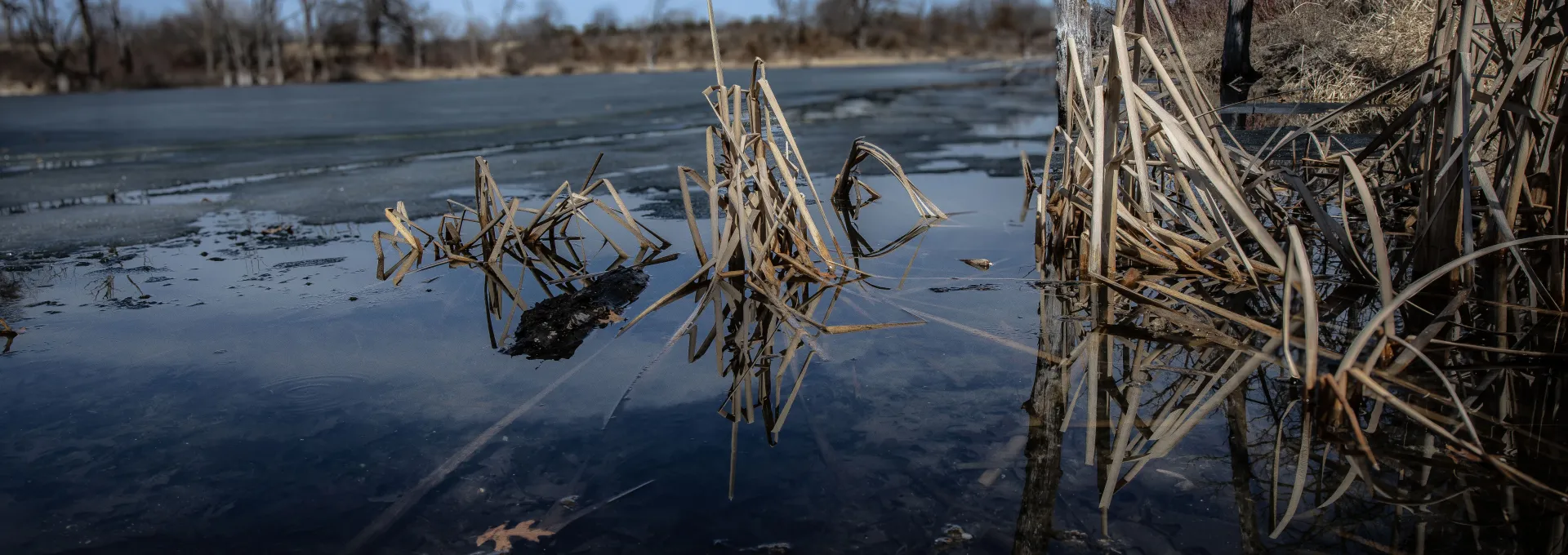 Iced over pond at Chester Woods