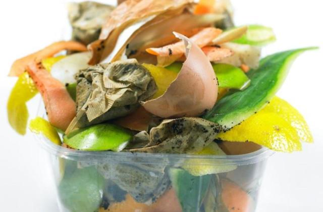 Olmsted County launches food scrap drop-off pilot program to combat waste