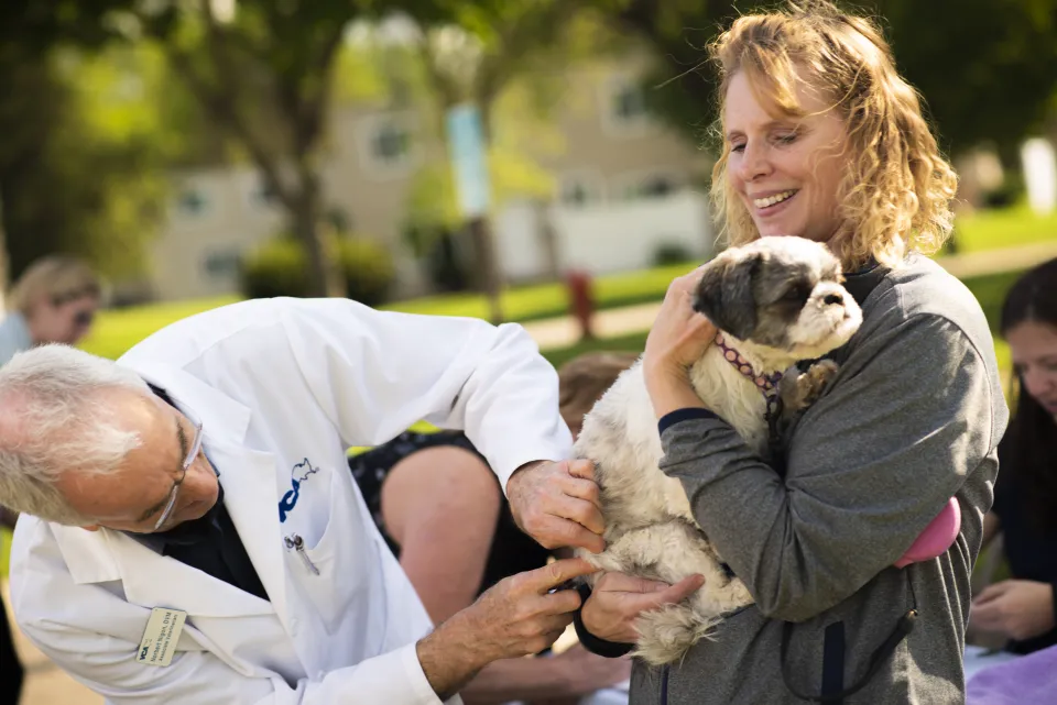 Veterinarian giving rabies vaccination to dog