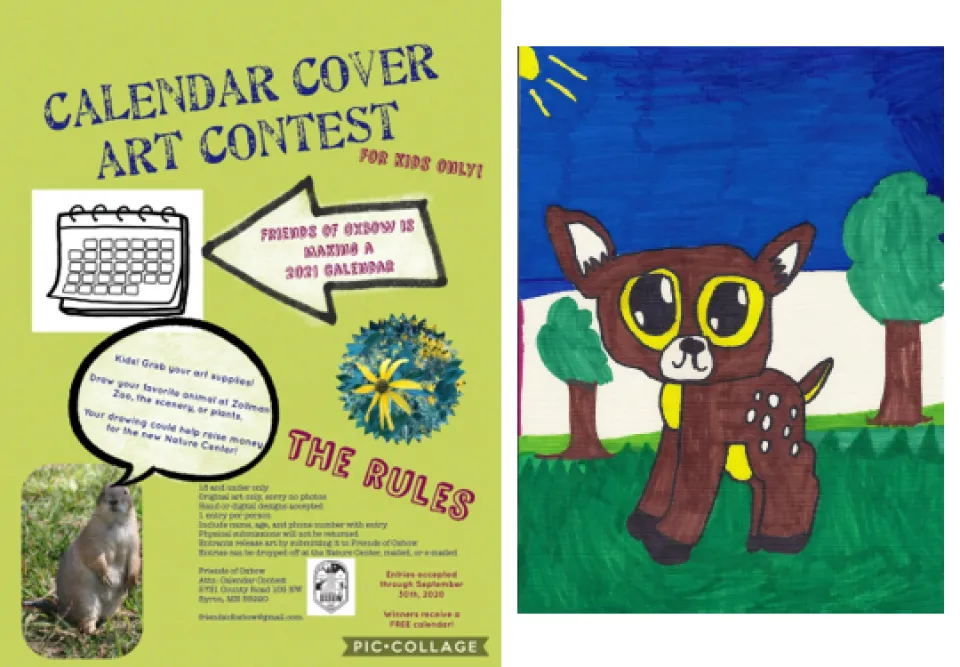 FOX Calendar Art Contest