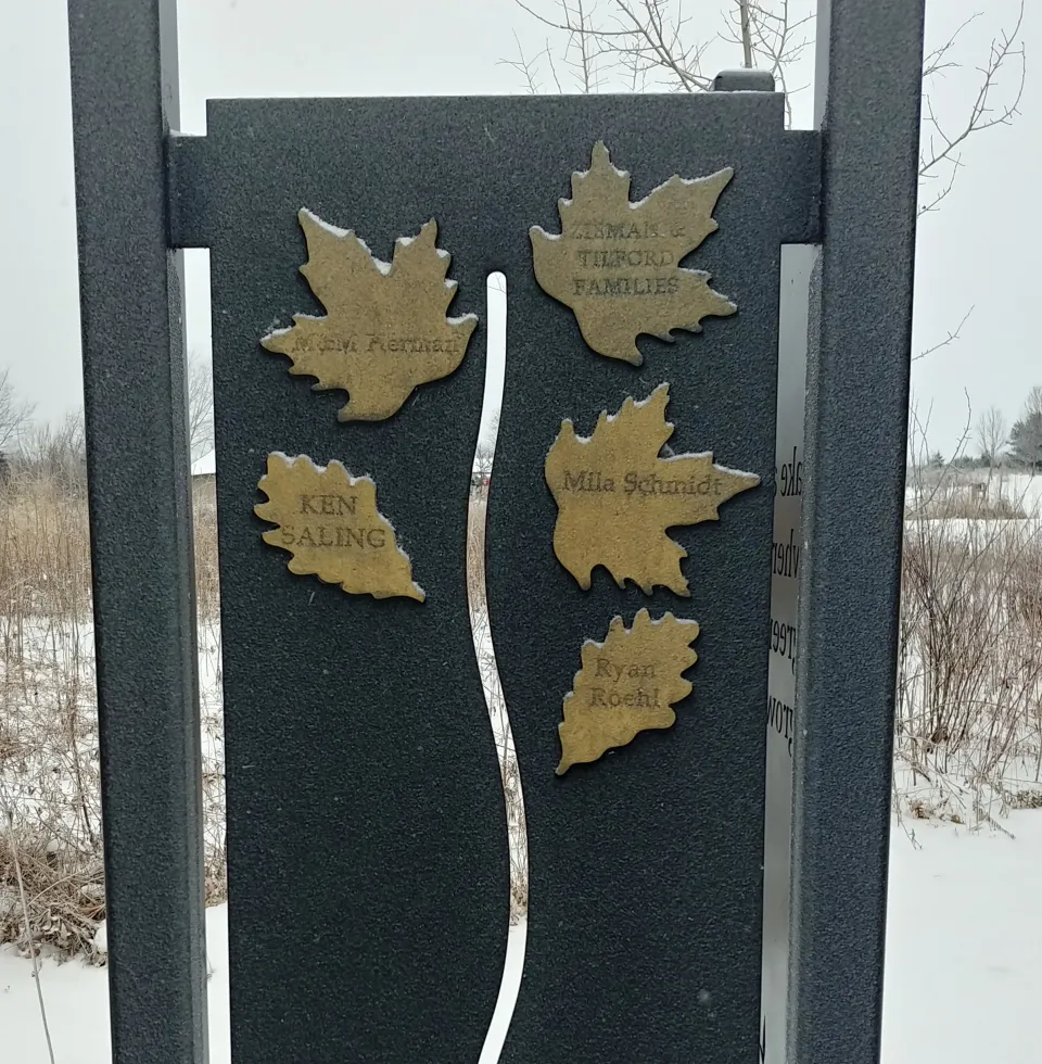 Leaves on Legacy Trail Panel