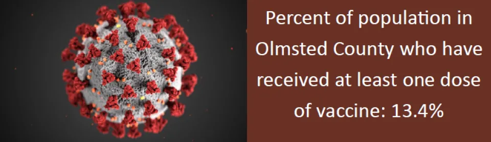 A graphic stating that 13.4% of Olmsted County's population has received at least one dose of the vaccine.