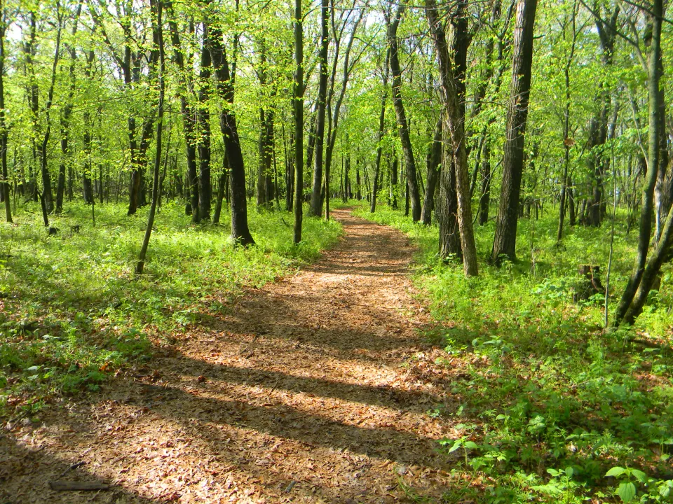 Trail in the woods Oxbow Park