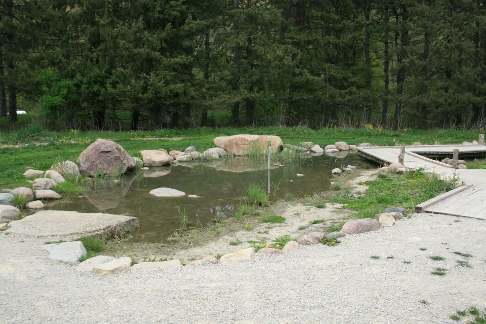 Playscape tadpole pond at Oxbow Park