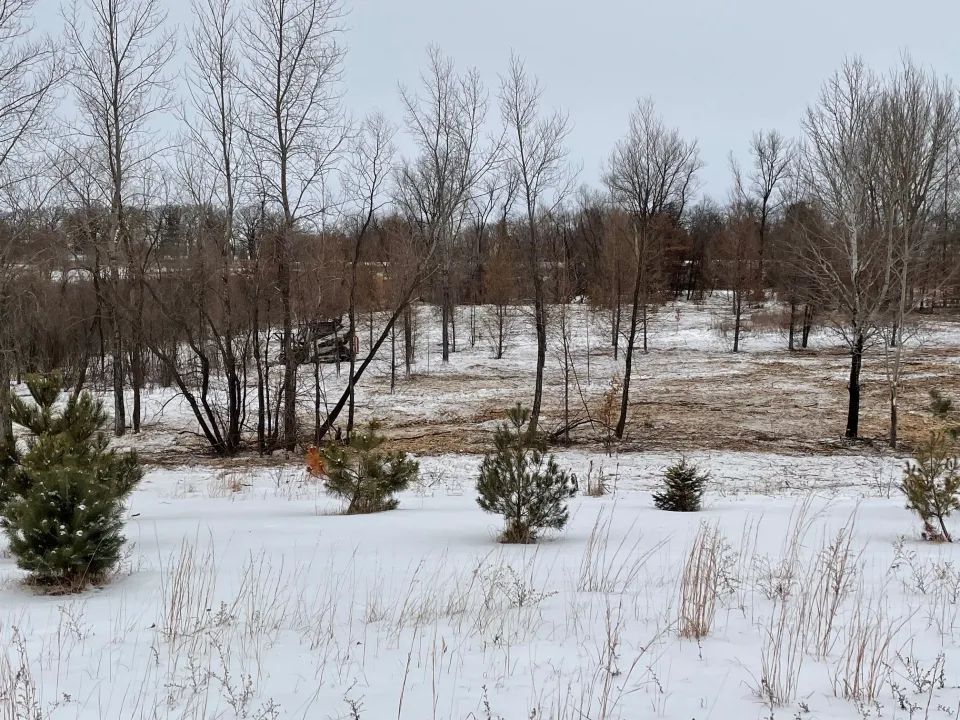 Skid loader and Forestry Mower at Chester Woods Park