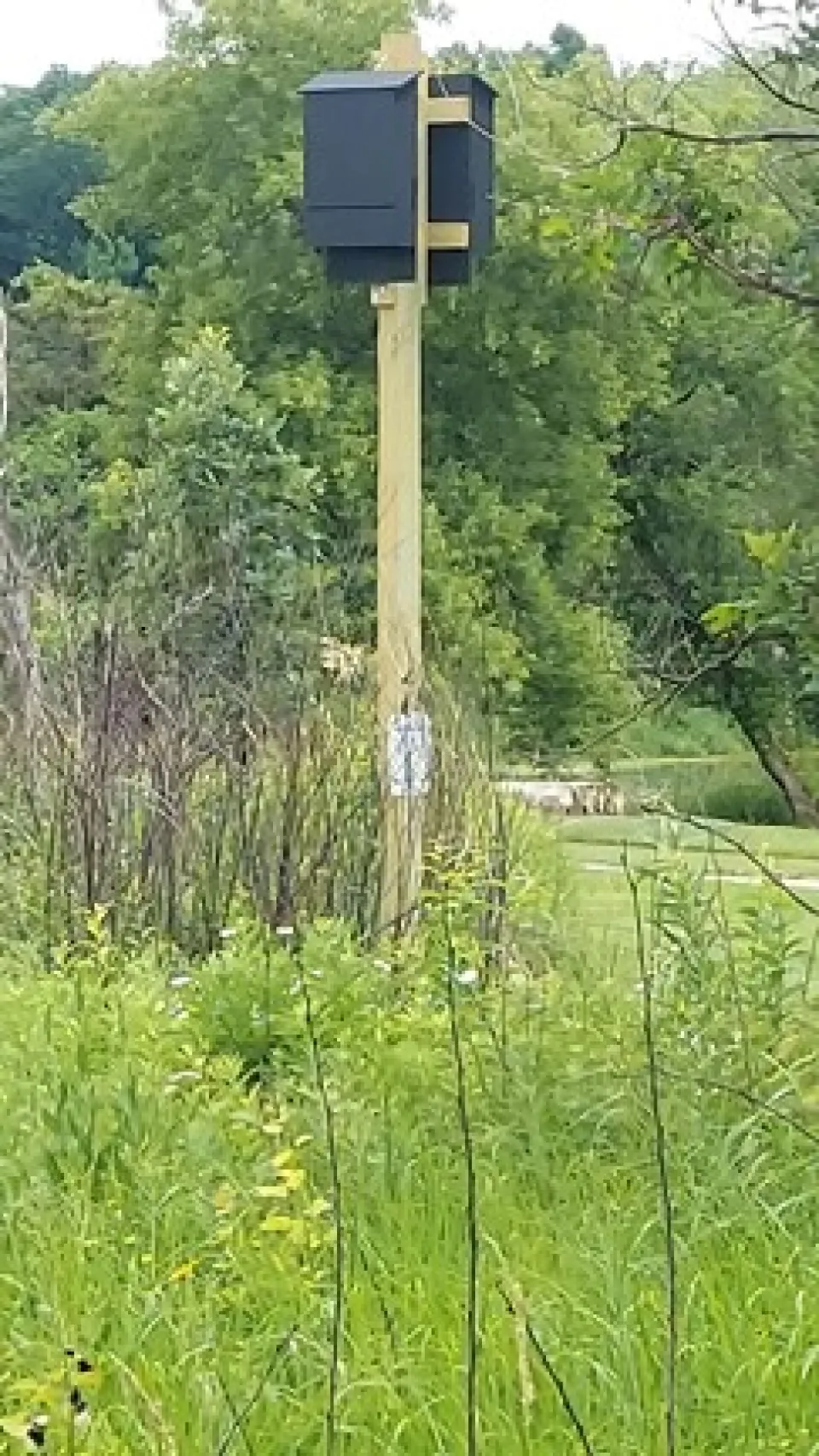 Bat House at Chester Woods Park