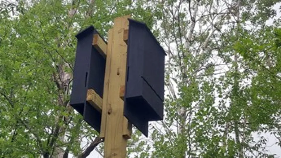 Bat House Closeup at Chester Woods Park