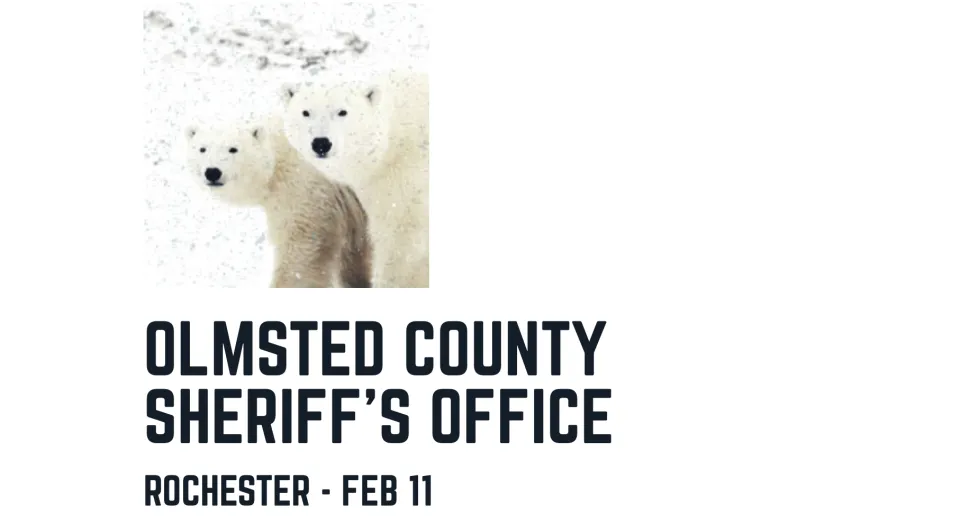 Polar Bear - Location: Rochester - Event Date: Feb. 11