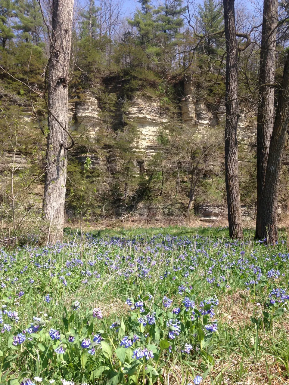 Olmsted County Parks Newsletter - Spring 2023