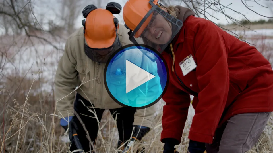 Two people cutting invasive weeds.