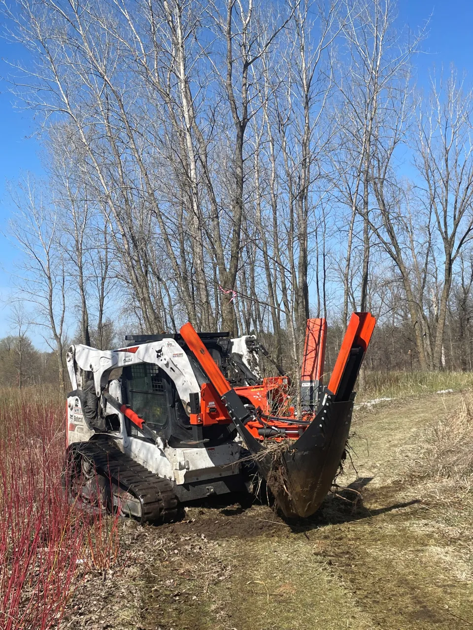 Tree Spade at Chester Woods Park