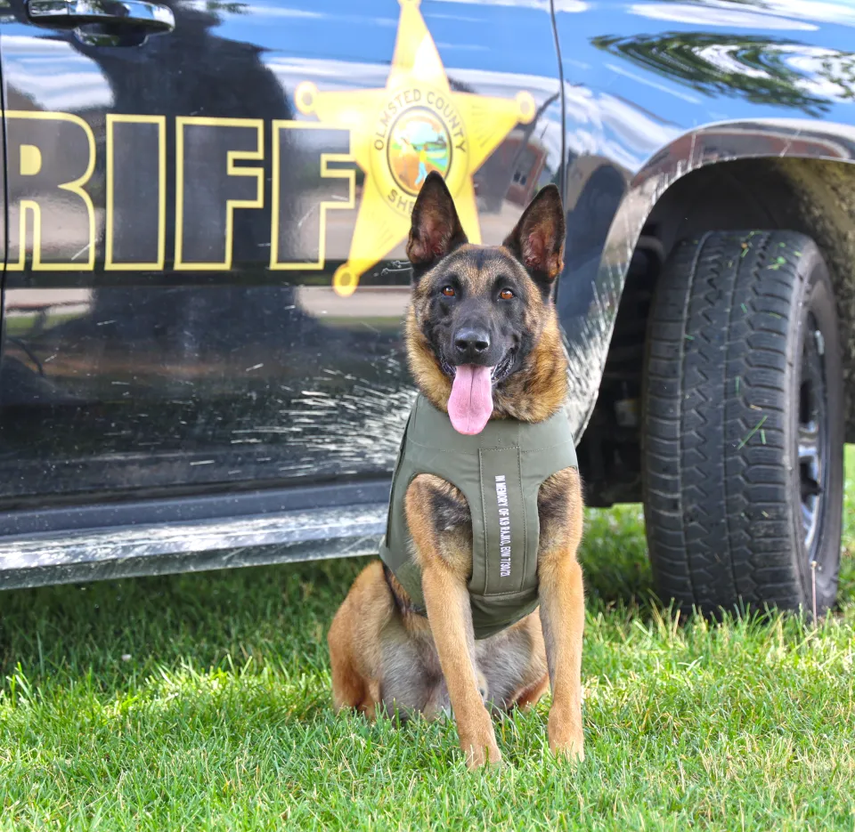 K9 Ranger stands next to squad
