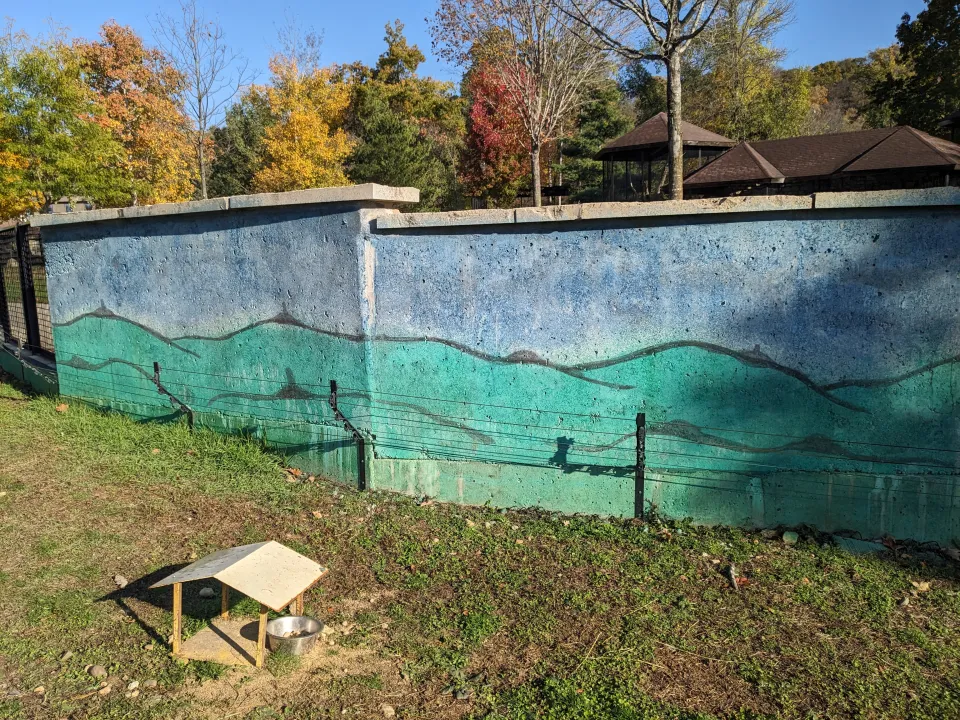 Prairie dog exhibit painted walls