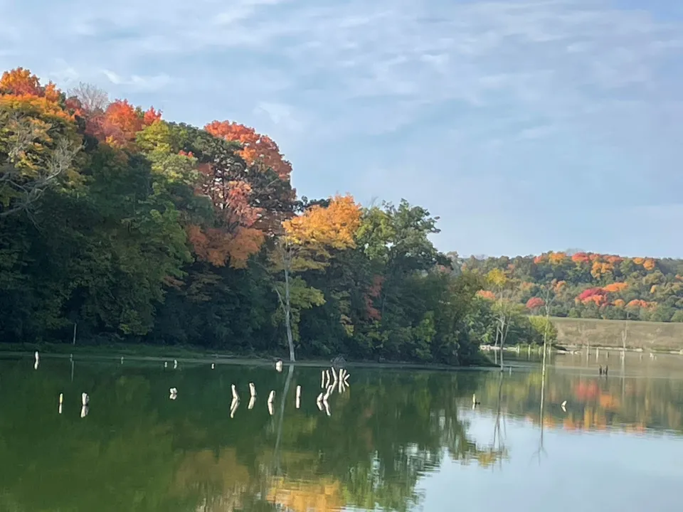 CW foliage at Chester Woods beach