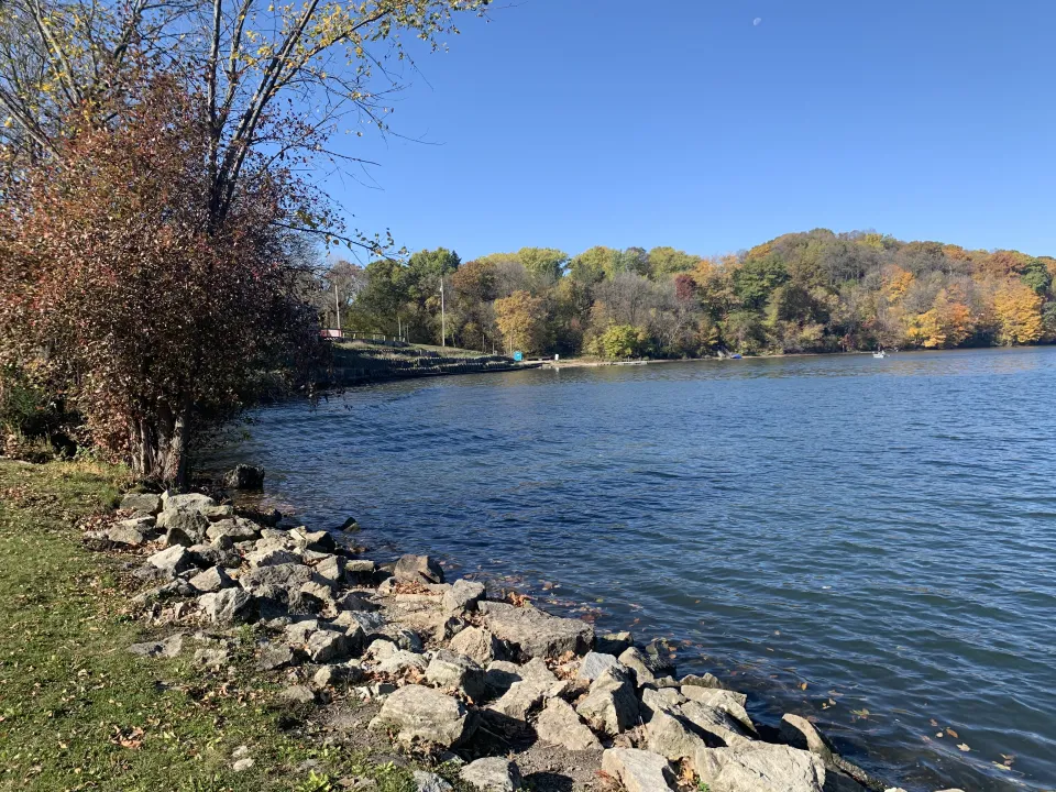 shoreline at Lake Zumbro