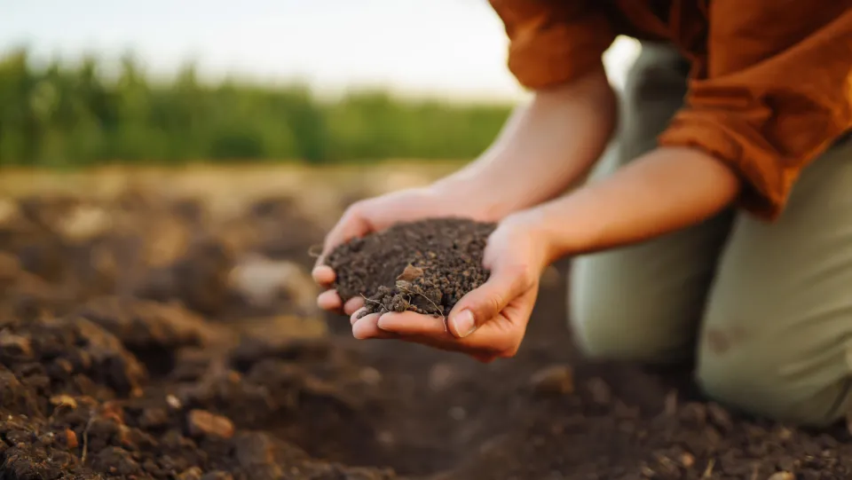 hands holding soil