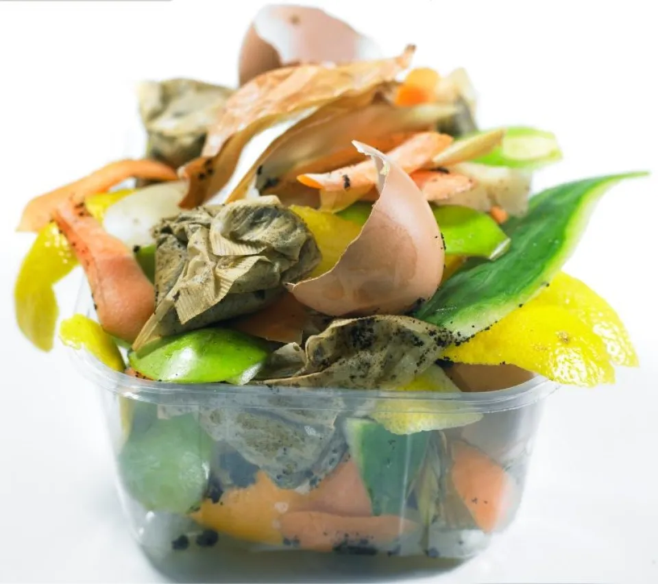 Various food scraps that can be composted