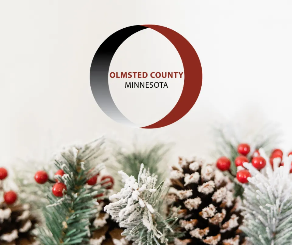 Olmsted County logo overlay on winter tree