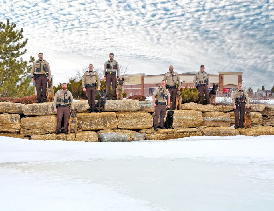 K9 Team Photo - Handers and dogs standing on rock