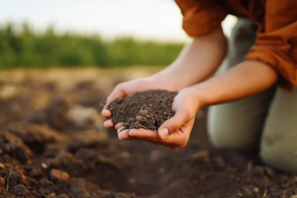 hands holding soil