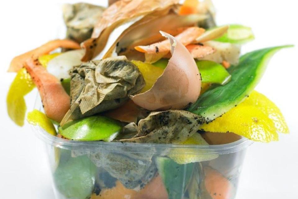 Food scraps in a plastic container