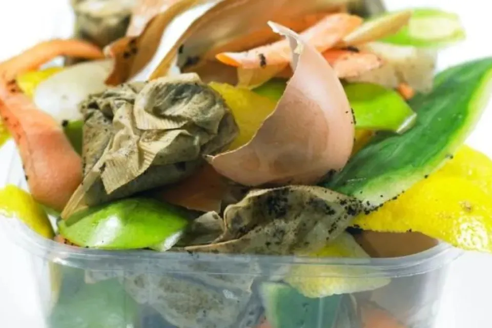 Food scraps in a dish